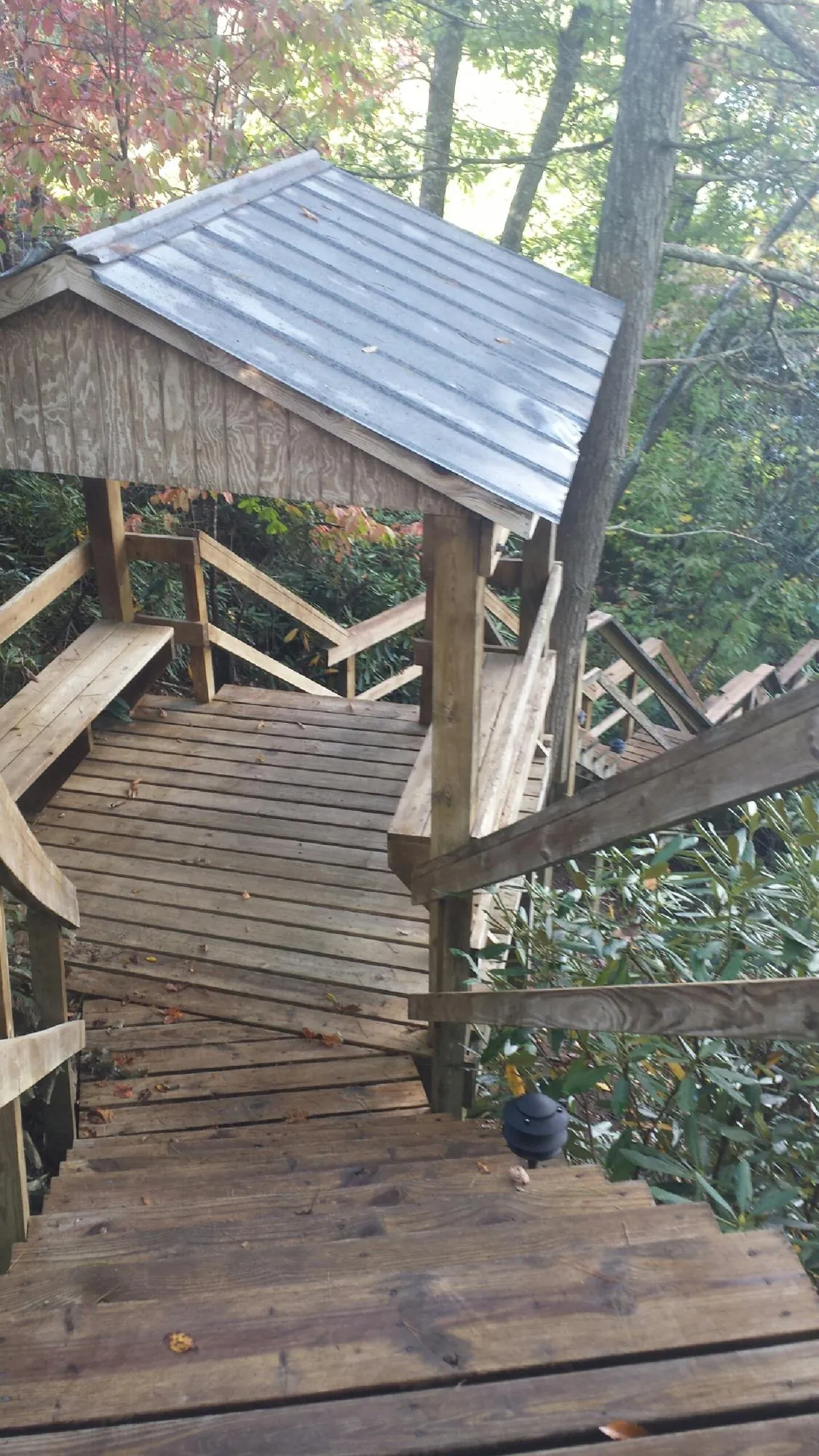 Metal roofed shelter over wooden steps on a wooded walkway — Skylight Repair & Installation work by our crew in Tribune
